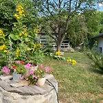 Apartament Ferieninrosengarten 1 Zi 190 Cm Deckenhoehe Oder Grosse 4 Zi Dg Whg *