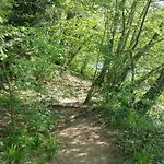 Ferieninrosengarten 1 Zi 190 Cm Deckenhoehe Oder Grosse 4 Zi Dg Whg * Rosengarten (Baden-Wurttemberg)