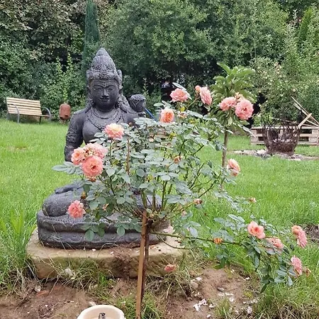 Ferieninrosengarten 1 Zi 190 Cm Deckenhoehe Oder Grosse 4 Zi Dg Whg *