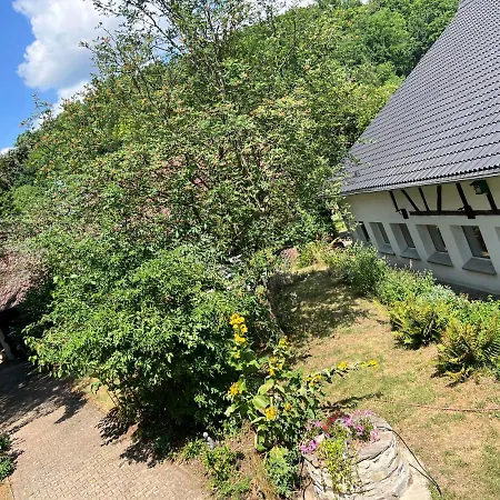 Apartmán Ferieninrosengarten 1 Zi 190 Cm Deckenhoehe Oder Grosse 4 Zi Dg Whg