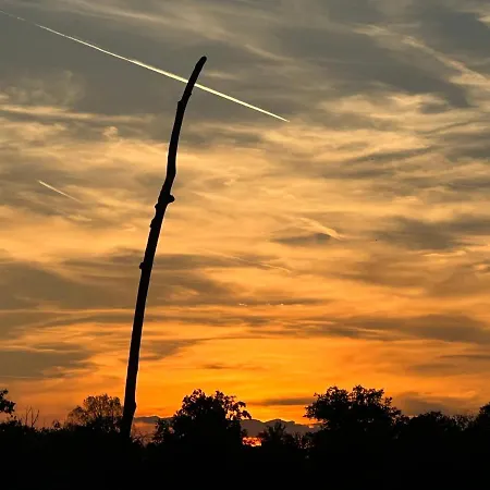 Ferieninrosengarten 1 Zi 190 Cm Deckenhoehe Oder Grosse 4 Zi Dg Whg شقة Rosengarten (Baden-Wurttemberg)