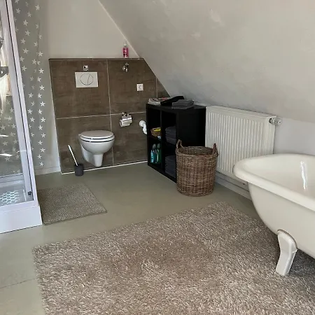 Ferieninrosengarten 1 Zi Appartement Oder Grosse, Schoene 4 Zi Dachgeschoss Whg *