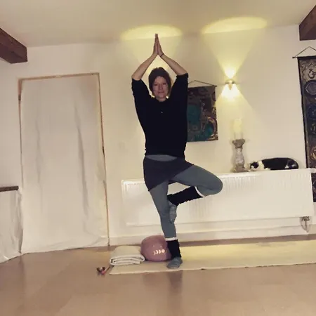 Ferieninrosengarten 1 Zi 190 Cm Deckenhoehe Oder Grosse 4 Zi Dg Whg Rosengarten (Baden-Wurttemberg)