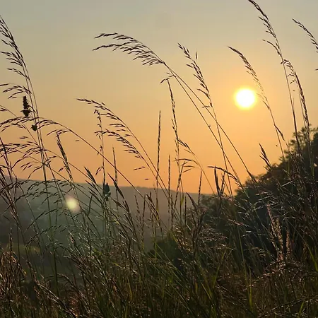 Ferieninrosengarten 1 Zi 190 Cm Deckenhoehe Oder Grosse 4 Zi Dg Whg