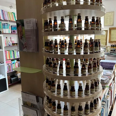 Ferieninrosengarten 1 Zi 190 Cm Deckenhoehe Oder Grosse 4 Zi Dg Whg *