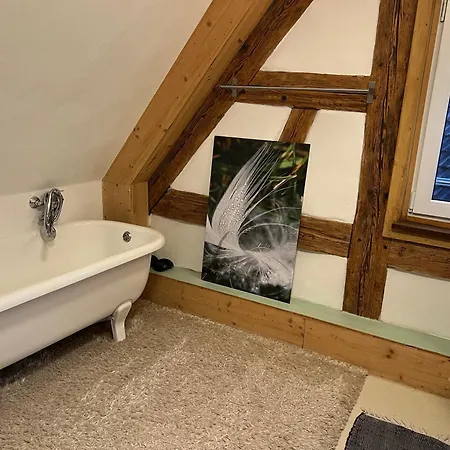 Ferieninrosengarten 1 Zi 190 Cm Deckenhoehe Oder Grosse 4 Zi Dg Whg Rosengarten (Baden-Wurttemberg)