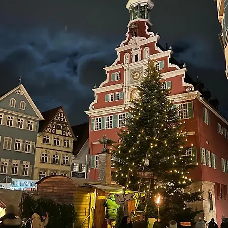 Ferieninrosengarten 1 Zi 190 Cm Deckenhoehe Oder Grosse 4 Zi Dg Whg Apartment Rosengarten (Baden-Wurttemberg)