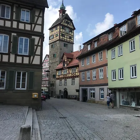 Ferieninrosengarten 1 Zi 190 Cm Deckenhoehe Oder Grosse 4 Zi Dg Whg Rosengarten (Baden-Wurttemberg)