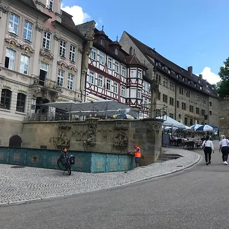 Ferieninrosengarten 1 Zi 190 Cm Deckenhoehe Oder Grosse 4 Zi Dg Whg Apartment