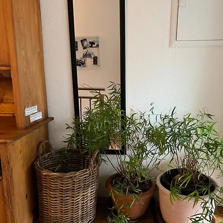 Apartment Ferieninrosengarten 1 Zi 190 Cm Deckenhoehe Oder Grosse 4 Zi Dg Whg *
