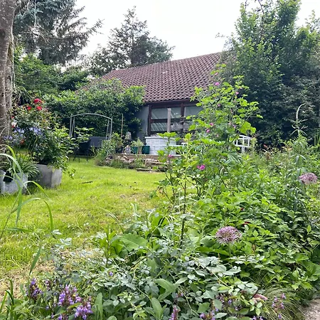 Ferieninrosengarten 1 Zi 190 Cm Deckenhoehe Oder Grosse 4 Zi Dg Whg * Rosengarten (Baden-Wurttemberg)