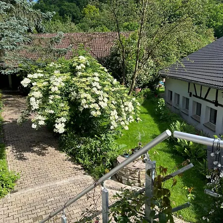 Daire Ferieninrosengarten 1 Zi Oder Grosse, Schoene 4 Zi Dachgeschoss Whg Rosengarten (Baden-Wurttemberg)