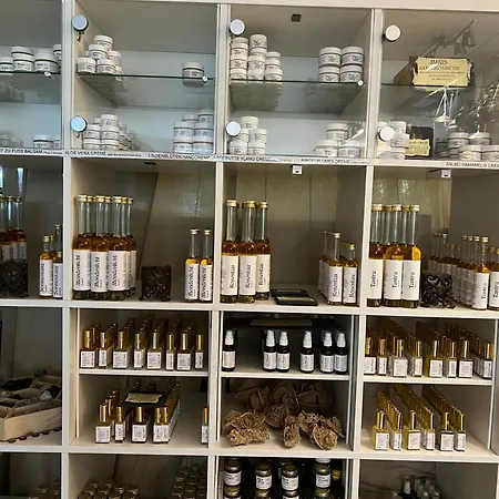 Ferieninrosengarten 1 Zi 190 Cm Deckenhoehe Oder Grosse 4 Zi Dg Whg