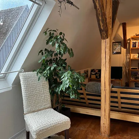 Apartamento Ferieninrosengarten 1 Zi 190 Cm Deckenhoehe Oder Grosse 4 Zi Dg Whg *