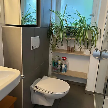 Appartamento Ferieninrosengarten 1 Zi Appartement Oder Grosse, Schoene 4 Zi Dachgeschoss Whg *