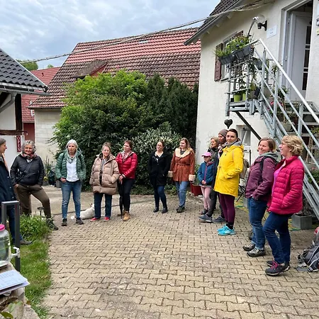 Ferieninrosengarten 1 Zi 190 Cm Deckenhoehe Oder Grosse 4 Zi Dg Whg * Rosengarten (Baden-Wurttemberg)