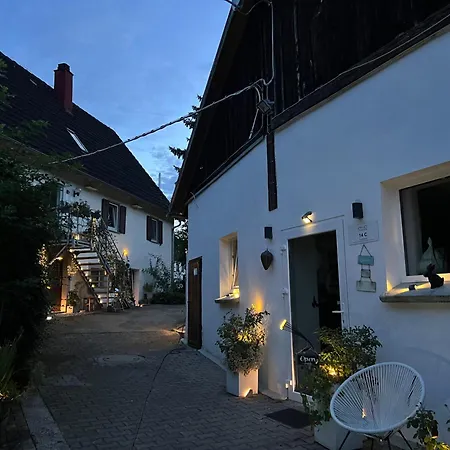 Ferieninrosengarten 1 Zi 190 Cm Deckenhoehe Oder Grosse 4 Zi Dg Whg 公寓