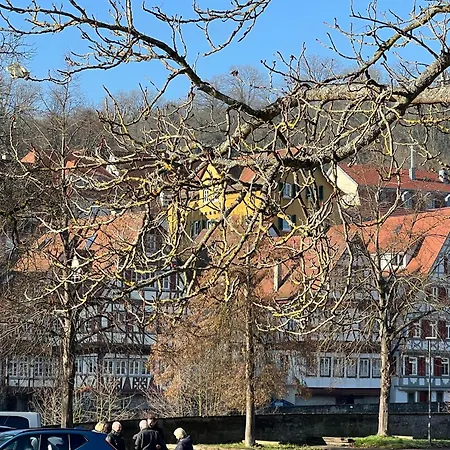Ferieninrosengarten 1 Zi 190 Cm Deckenhoehe Oder Grosse 4 Zi Dg Whg * Rosengarten (Baden-Wurttemberg)