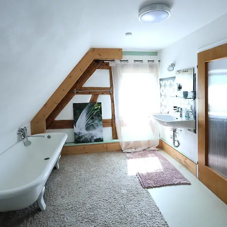 Ferieninrosengarten 1 Zi 190 Cm Deckenhoehe Oder Grosse 4 Zi Dg Whg Apartment