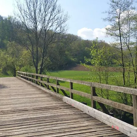 公寓 Ferieninrosengarten 1 Zi 190 Cm Deckenhoehe Oder Grosse 4 Zi Dg Whg Rosengarten (Baden-Wurttemberg)