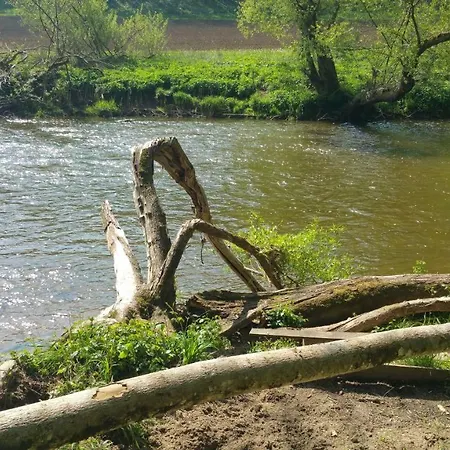 Ferieninrosengarten 1 Zi 190 Cm Deckenhoehe Oder Grosse 4 Zi Dg Whg Apartmán *