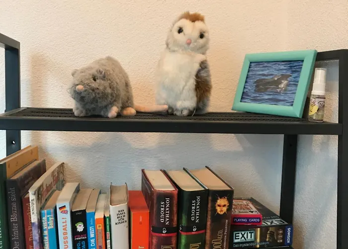 Apartamento Ferieninrosengarten 1 Zi 190 Cm Deckenhoehe Oder Grosse 4 Zi Dg Whg