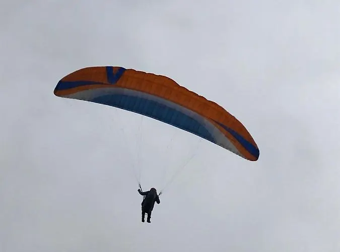 Ferieninrosengarten 1 Zi 190 Cm Deckenhoehe Oder Grosse 4 Zi Dg Whg
