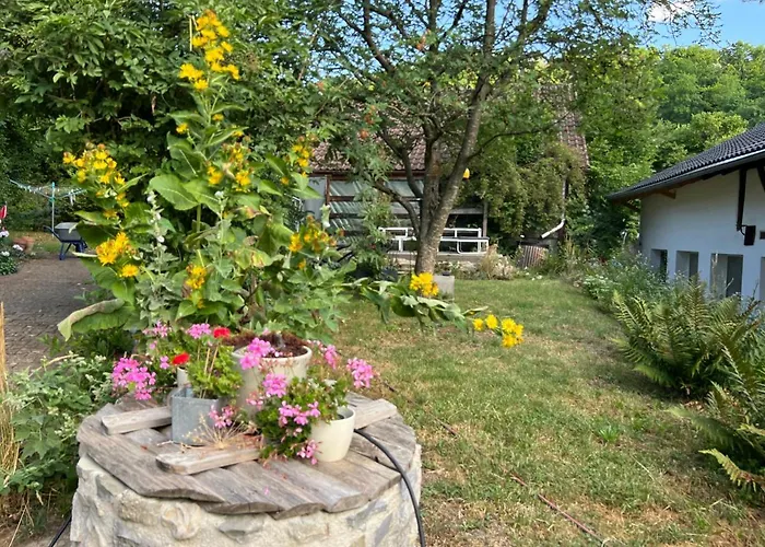 Apartamento Ferieninrosengarten 1 Zi 190 Cm Deckenhoehe Oder Grosse 4 Zi Dg Whg *