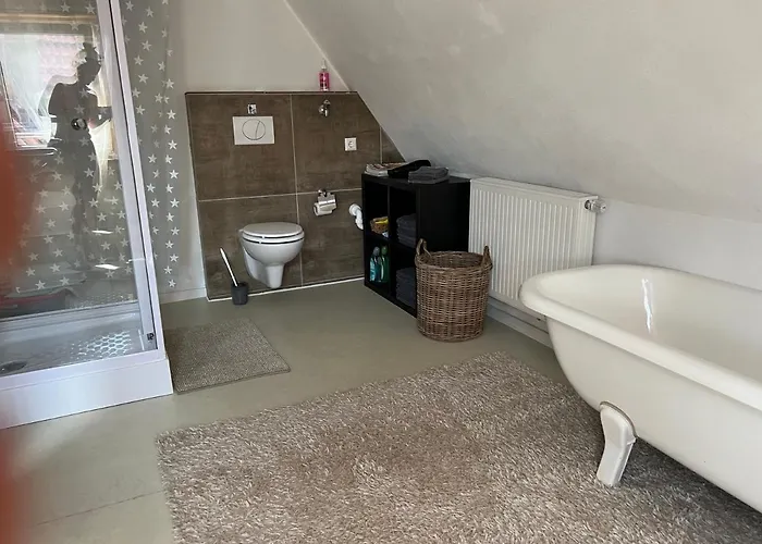 Ferieninrosengarten 1 Zi 190 Cm Deckenhoehe Oder Grosse 4 Zi Dg Whg *