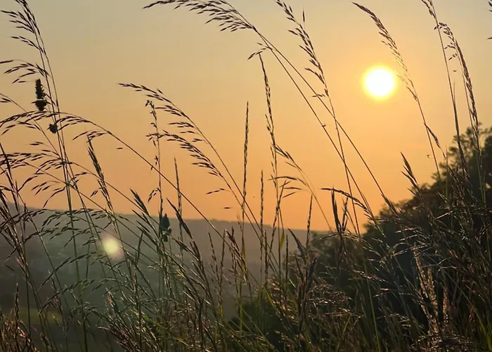 Ferieninrosengarten 1 Zi 190 Cm Deckenhoehe Oder Grosse 4 Zi Dg Whg