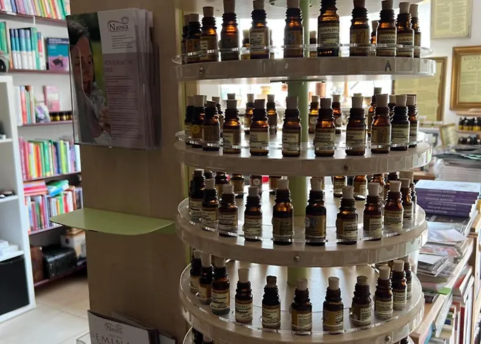 Ferieninrosengarten 1 Zi 190 Cm Deckenhoehe Oder Grosse 4 Zi Dg Whg *