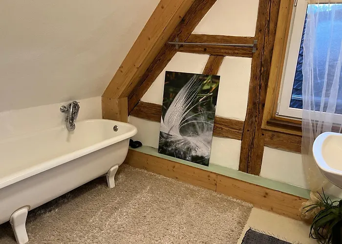 Ferieninrosengarten 1 Zi 190 Cm Deckenhoehe Oder Grosse 4 Zi Dg Whg Rosengarten (Baden-Wurttemberg)