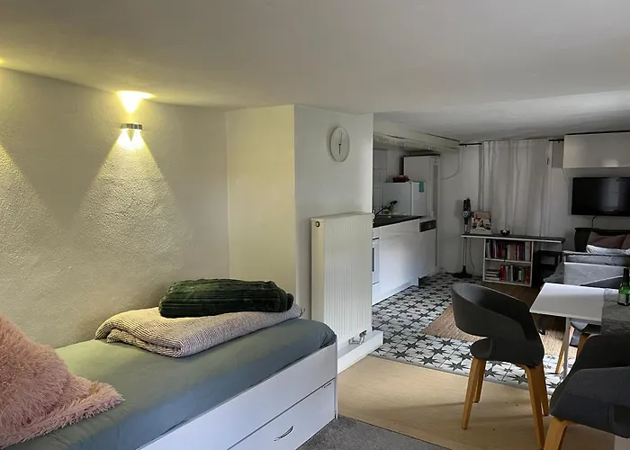 Ferieninrosengarten 1 Zi 190 Cm Deckenhoehe Oder Grosse 4 Zi Dg Whg