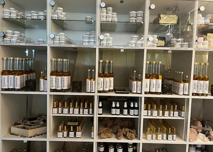 Ferieninrosengarten 1 Zi 190 Cm Deckenhoehe Oder Grosse 4 Zi Dg Whg