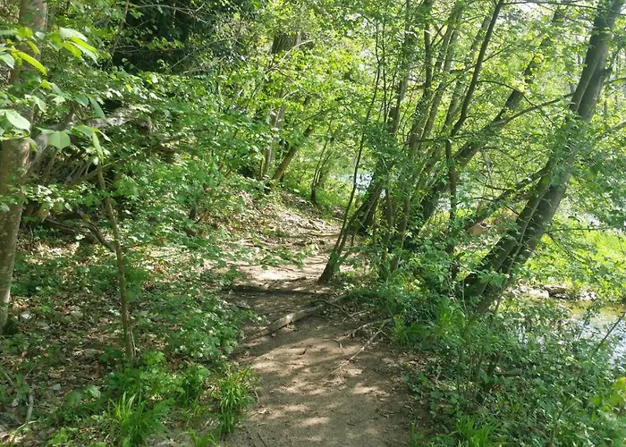 Ferieninrosengarten 1 Zi 190 Cm Deckenhoehe Oder Grosse 4 Zi Dg Whg * Rosengarten (Baden-Wurttemberg)